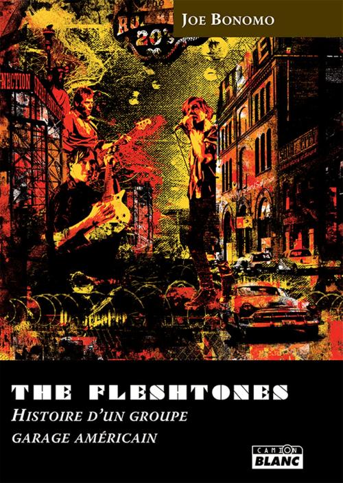 Cover of the book The Fleshtones by Mick Wall, Camion Blanc