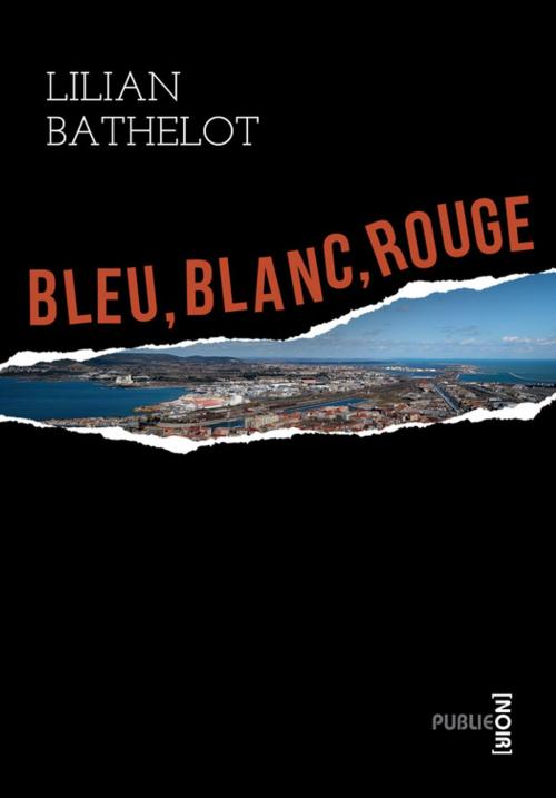 Cover of the book Bleu Blanc Rouge by Lilian Bathelot, publie.net