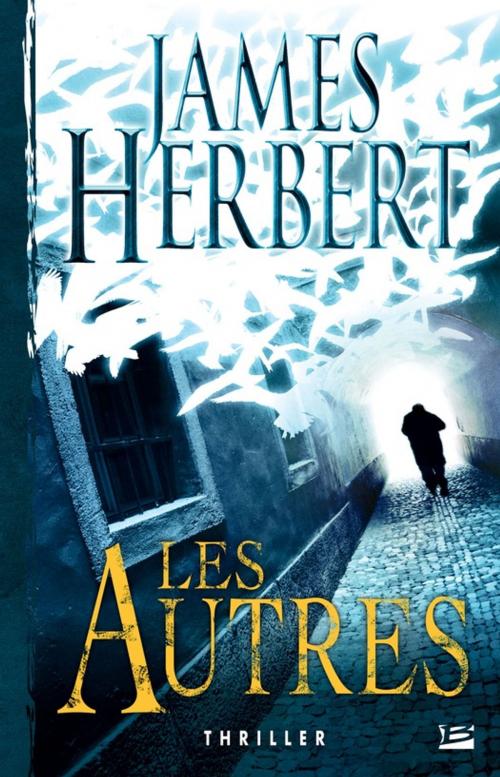 Cover of the book Les Autres by James Herbert, Bragelonne
