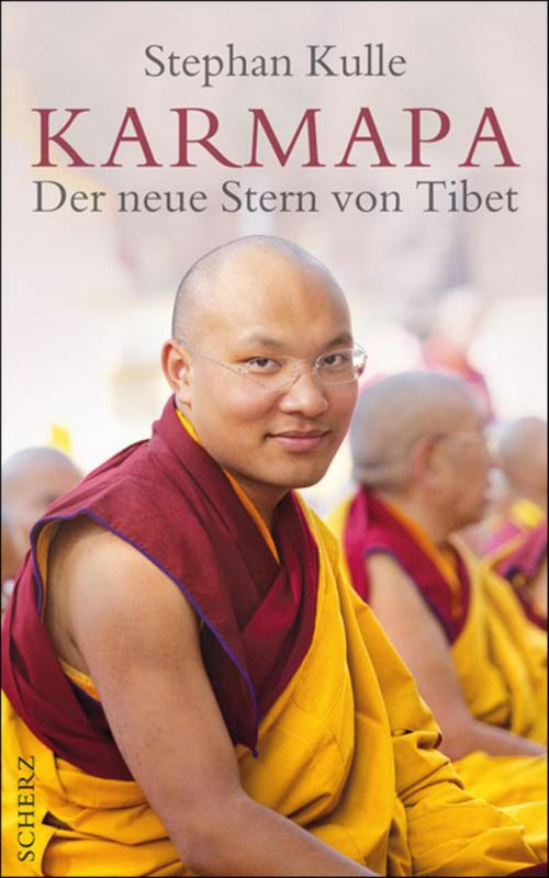 Cover of the book Karmapa by Stephan Kulle, FISCHER E-Books