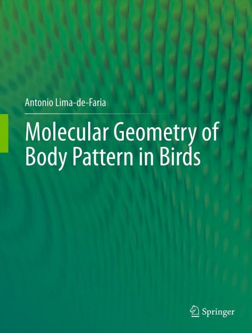 Cover of the book Molecular Geometry of Body Pattern in Birds by Antonio Lima-de-Faria, Springer Berlin Heidelberg
