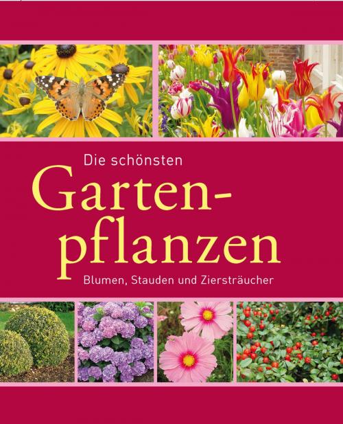 Cover of the book Die schönsten Gartenpflanzen by Joachim Mayer, Folko Kullmann, Komet Verlag