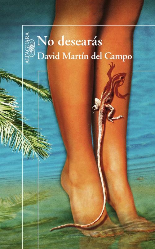 Cover of the book No desearas by David Martín del Campo, Penguin Random House Grupo Editorial México