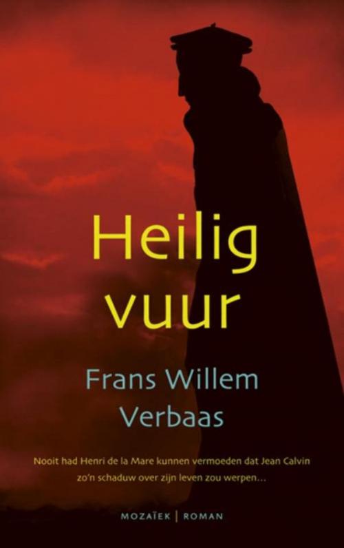 Cover of the book Heilig vuur by Frans Willem Verbaas, VBK Media