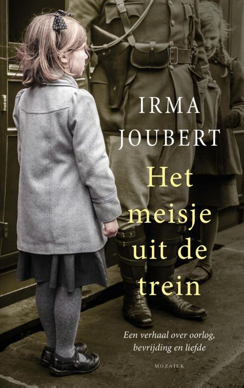 Cover of the book Het meisje uit de trein by Irma Joubert, VBK Media