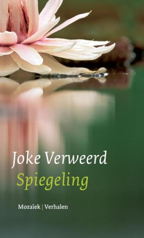 Cover of the book Spiegeling by Joke Verweerd, VBK Media