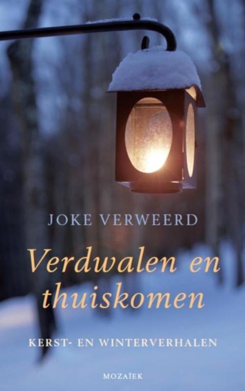 Cover of the book Verdwalen en thuiskomen by Joke Verweerd, VBK Media