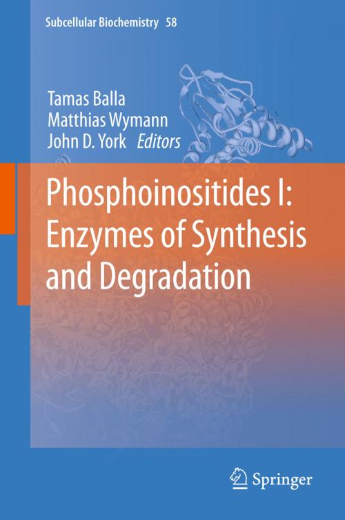 Cover of the book Phosphoinositides I: Enzymes of Synthesis and Degradation by , Springer Netherlands