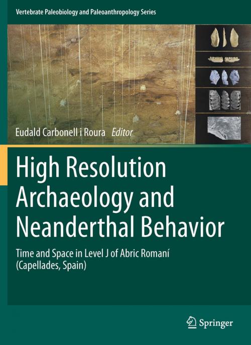 Cover of the book High Resolution Archaeology and Neanderthal Behavior by , Springer Netherlands