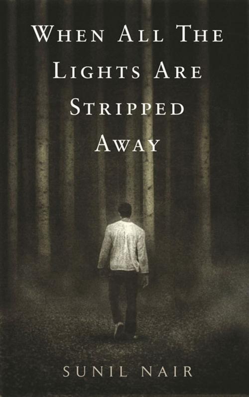Cover of the book When All the Lights Are Stripped Away by Sunil Nair, Marshall Cavendish International
