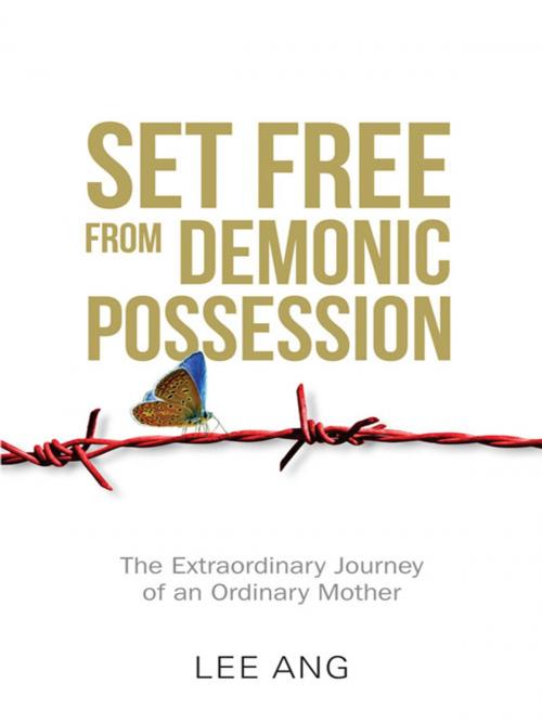 Cover of the book Set Free from Demonic Possession by Lee Ang, Armour Publishing