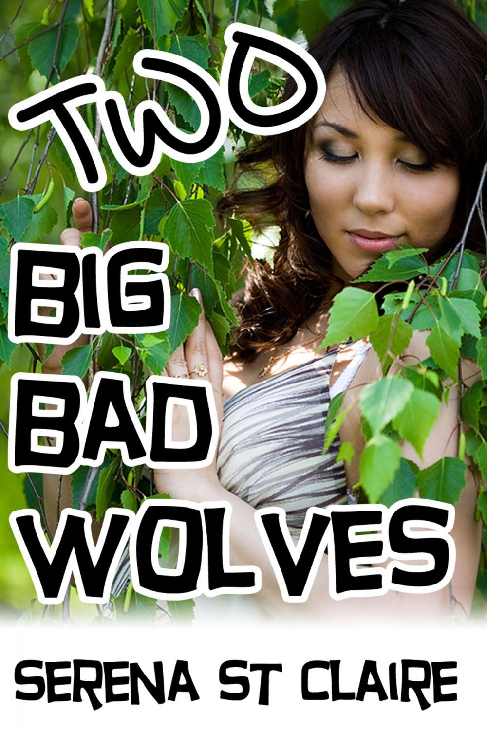 Big bigCover of Two Big Bad Wolves