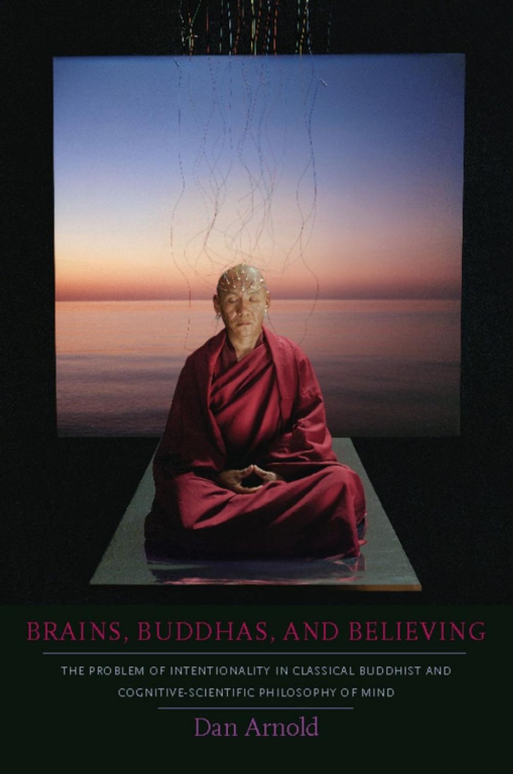 Big bigCover of Brains, Buddhas, and Believing