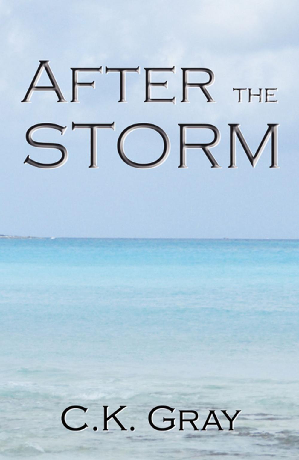 Big bigCover of After the Storm