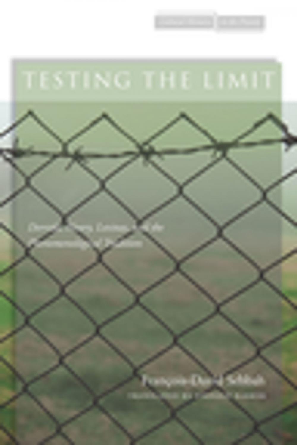 Big bigCover of Testing the Limit