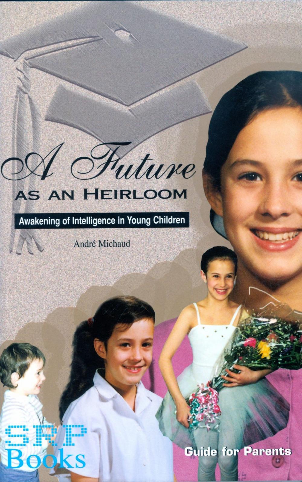 Big bigCover of A Future as an Heirloom