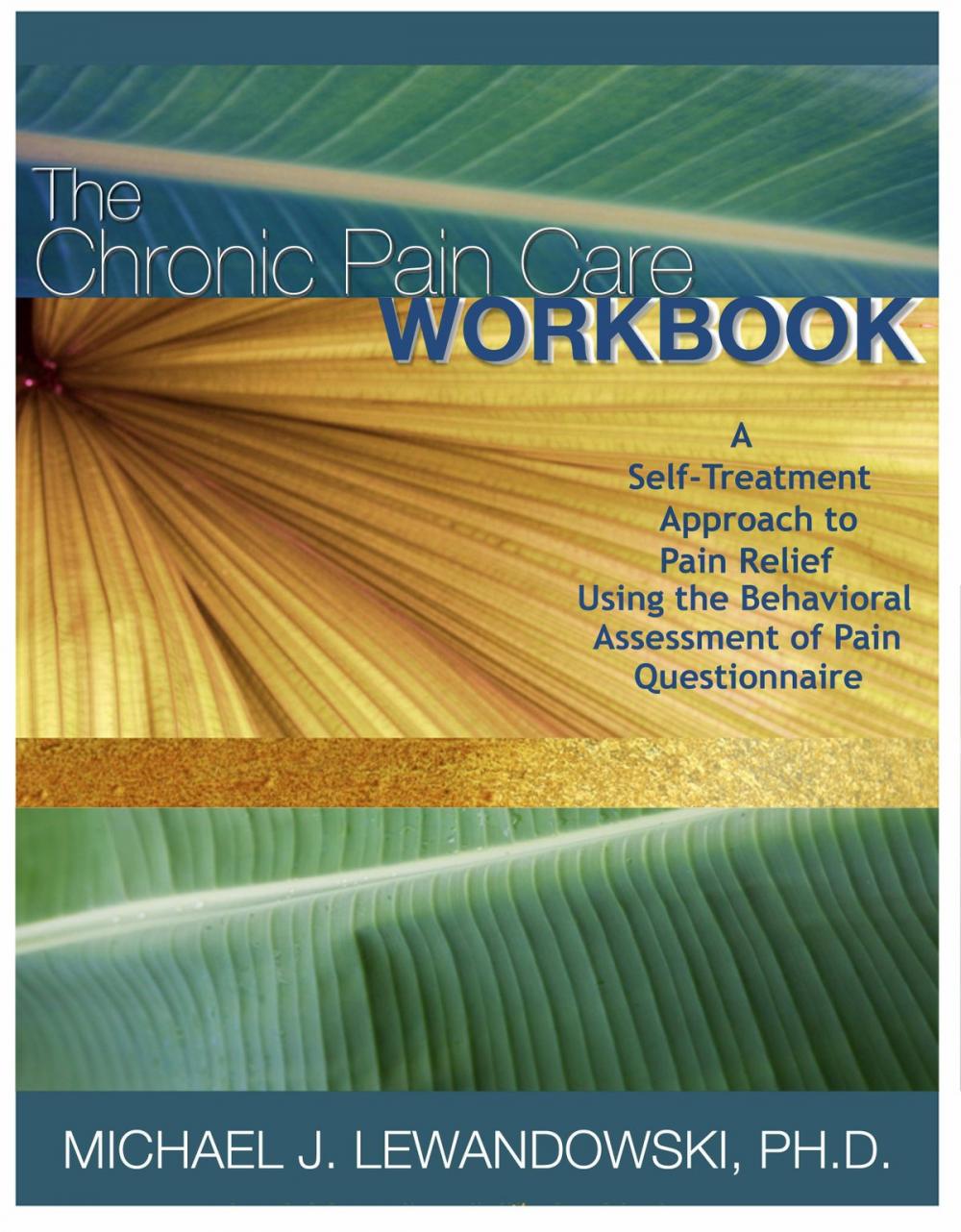 Big bigCover of The Chronic Pain Care Workbook
