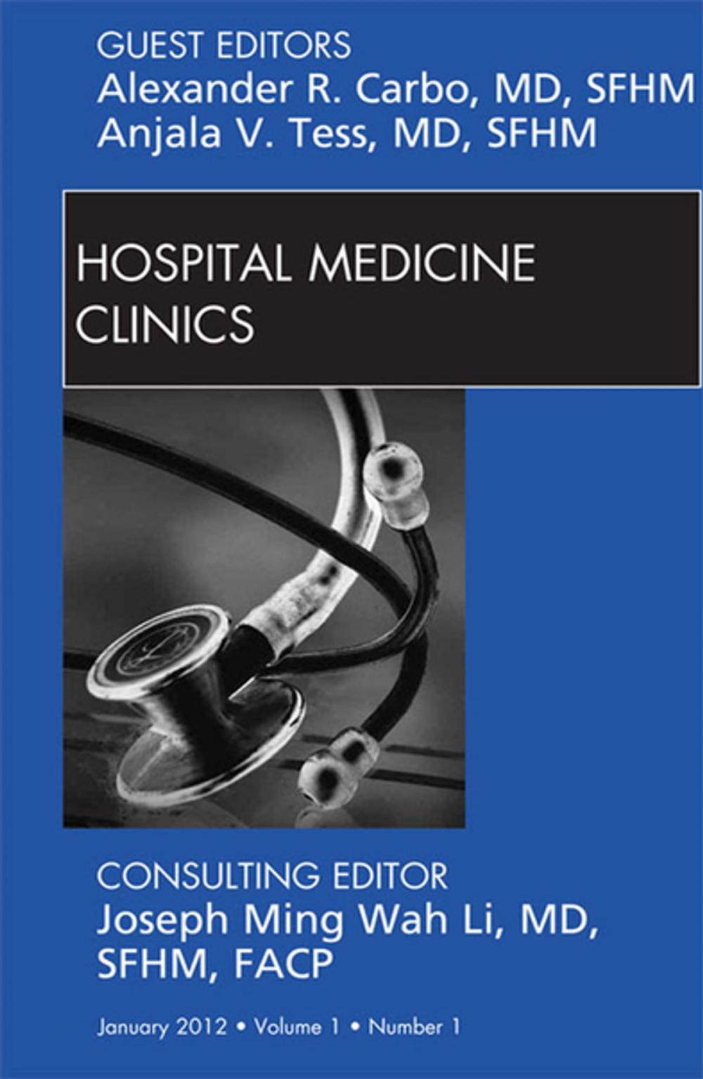 Big bigCover of Volume 1, Issue 1, an issue of Hospital Medicine Clinics - E-Book