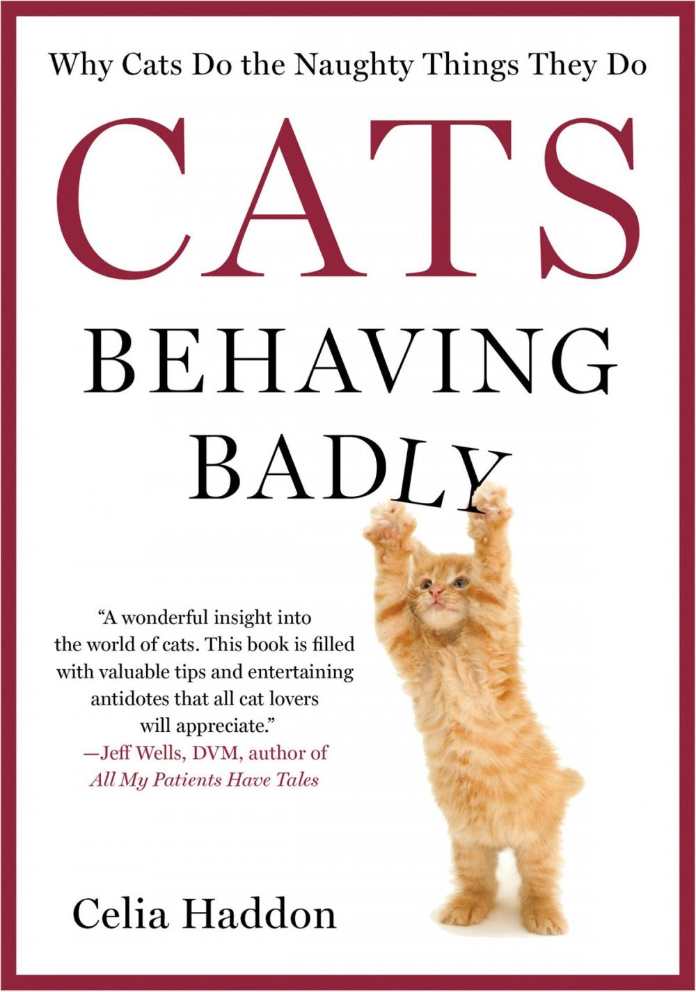 Big bigCover of Cats Behaving Badly