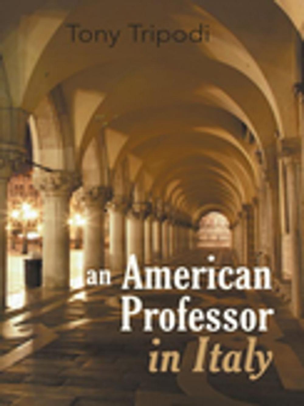 Big bigCover of An American Professor in Italy