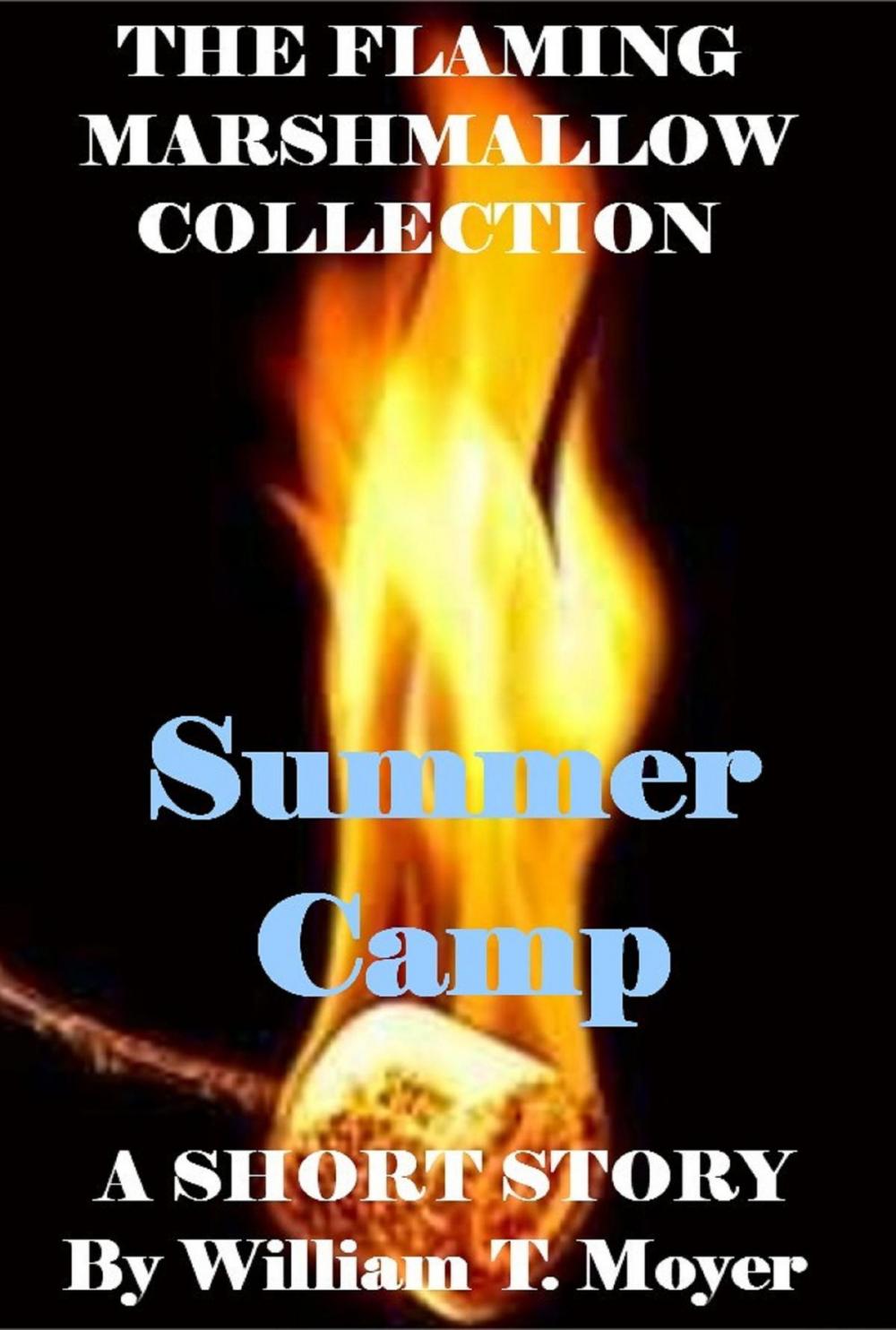Big bigCover of Summer Camp