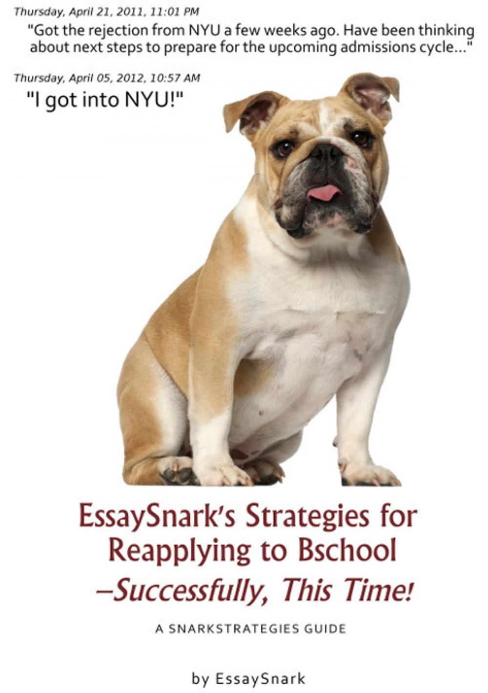 Big bigCover of EssaySnark's Strategies for Reapplying to Bschool: Successfully, This Time!