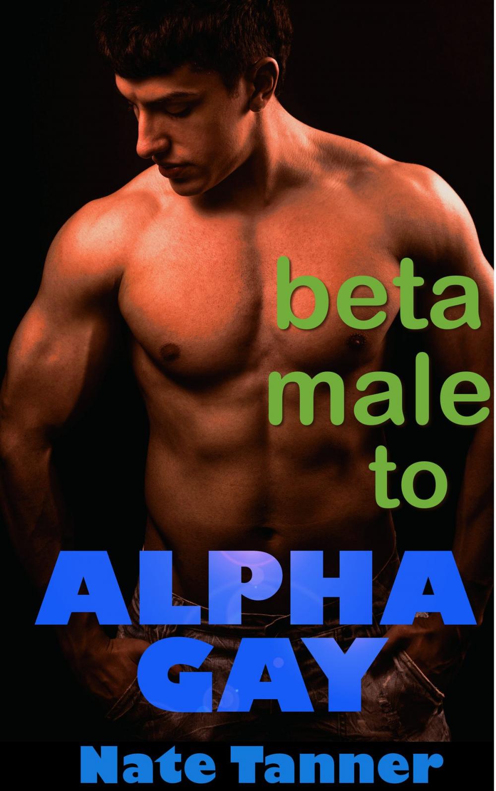 Big bigCover of Beta Male to Alpha Gay