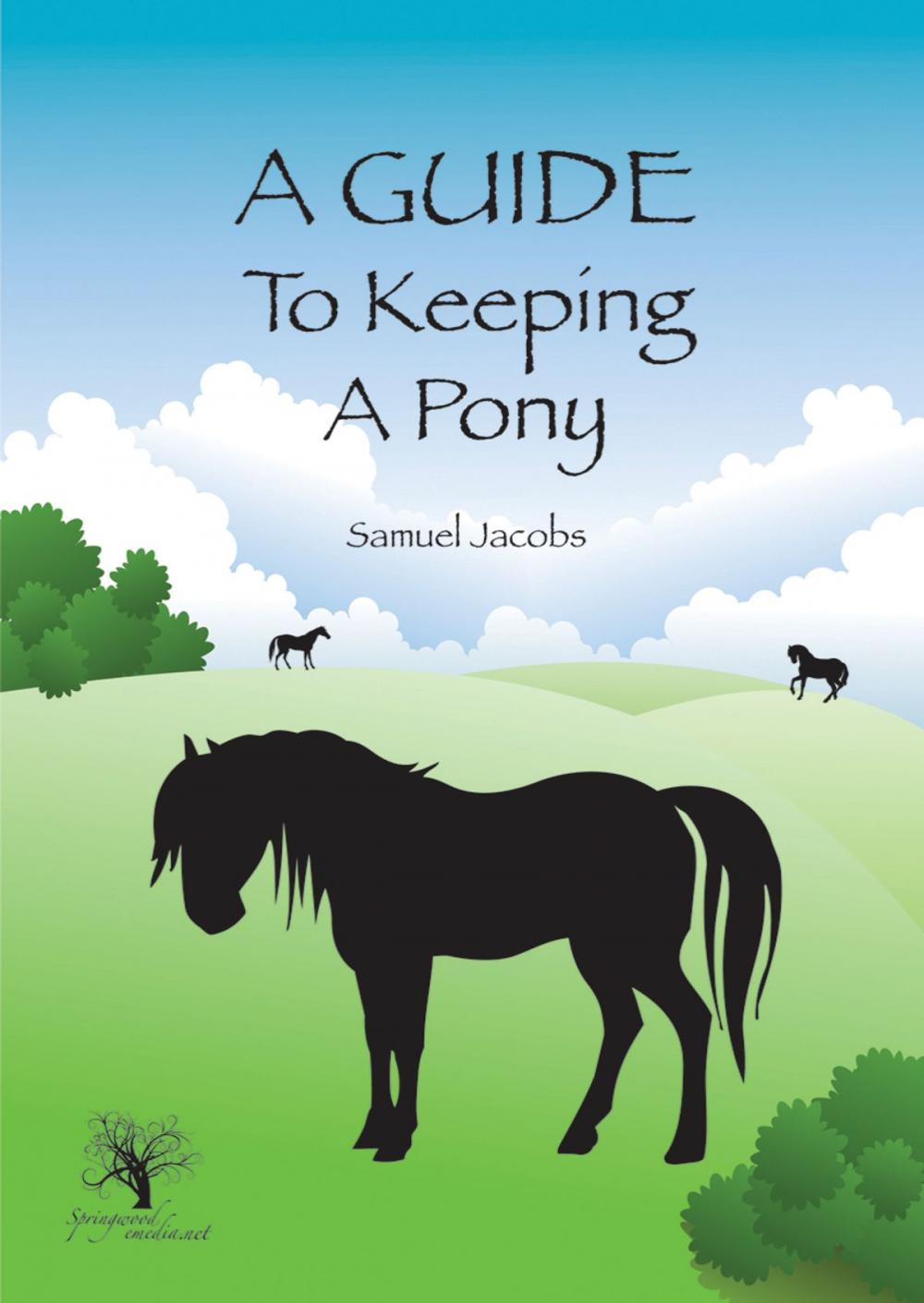 Big bigCover of A Guide To Keeping A Pony