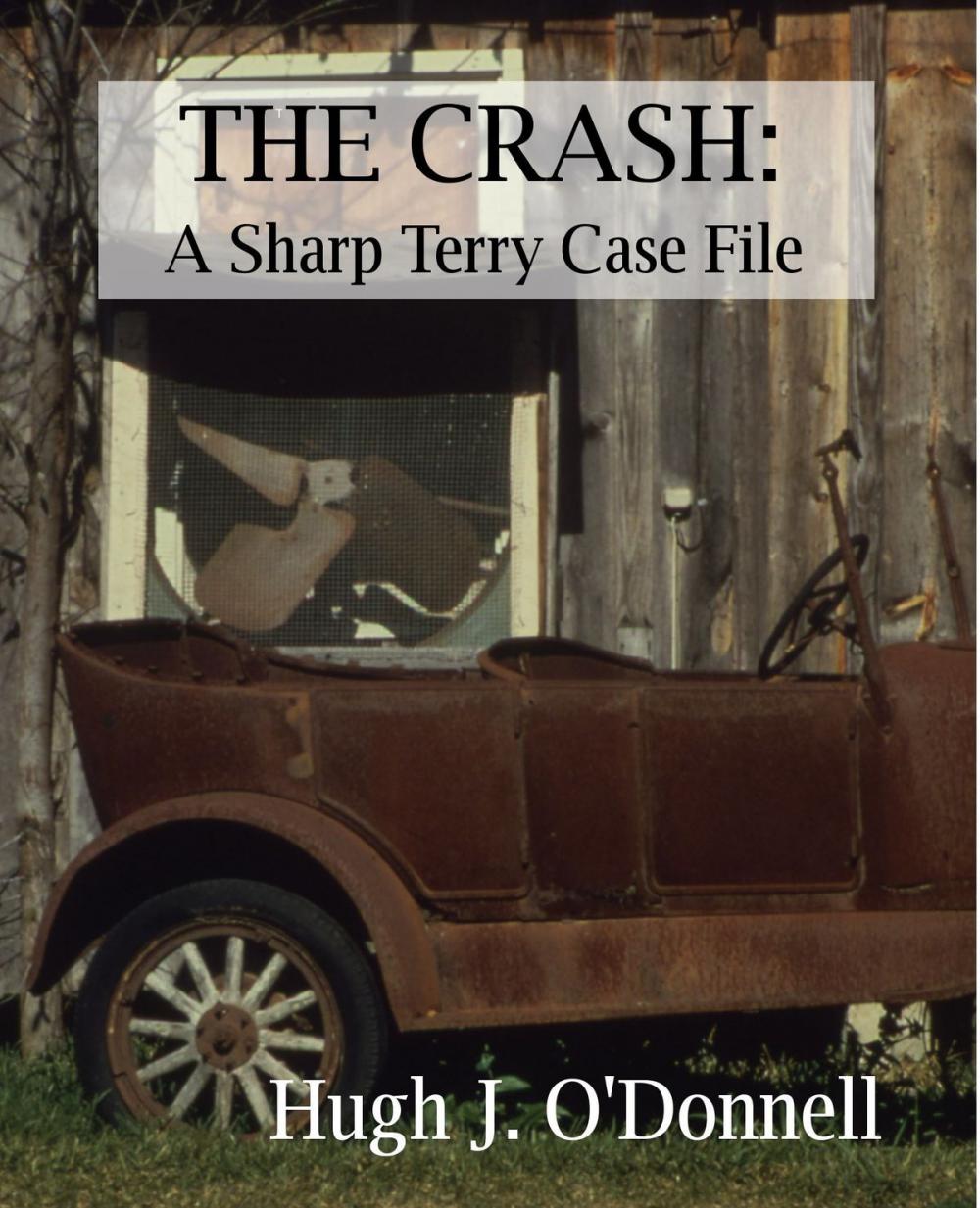 Big bigCover of The Crash: A Sharp Terry Case File