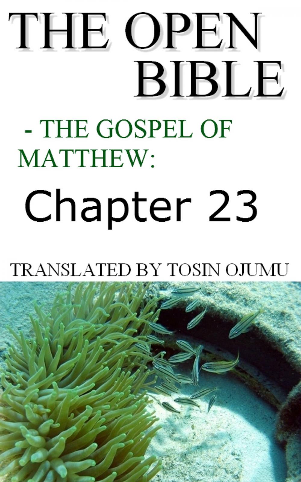 Big bigCover of The Open Bible: The Gospel of Matthew: Chapter 23