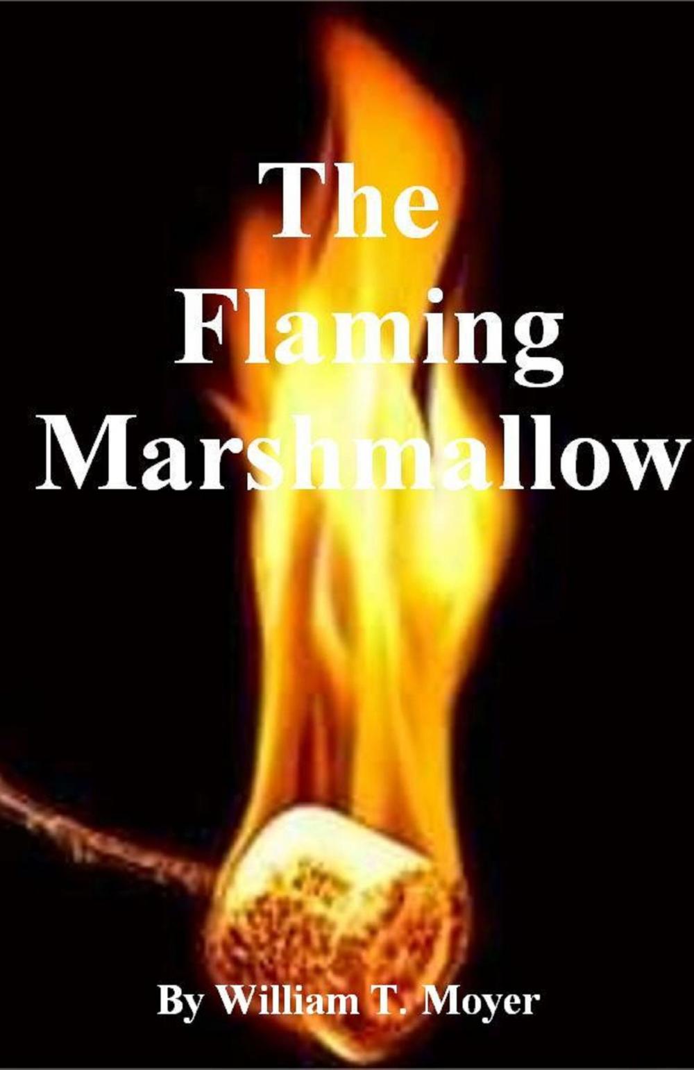 Big bigCover of The Flaming Marshmallow