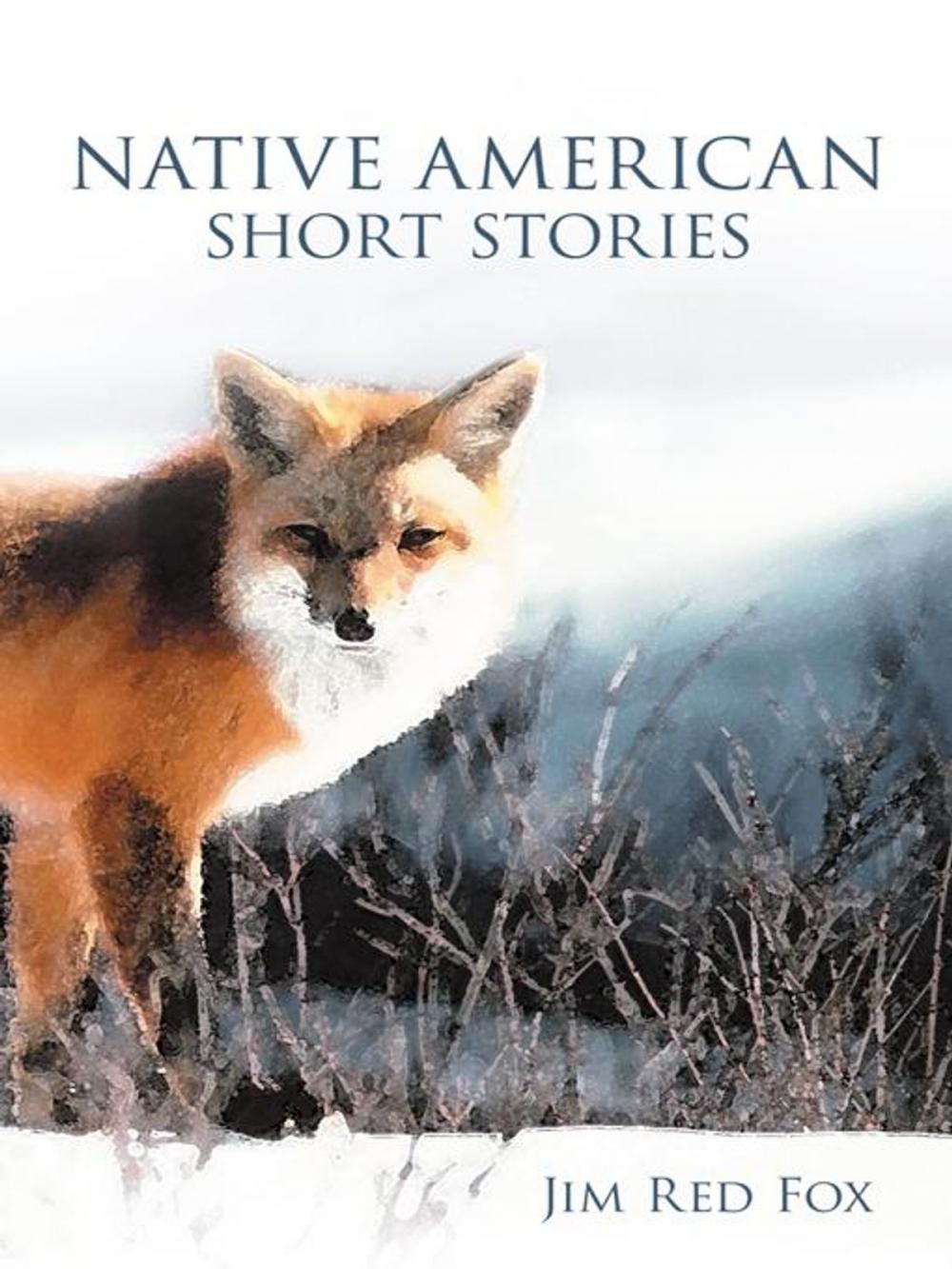 Big bigCover of Native American Short Stories