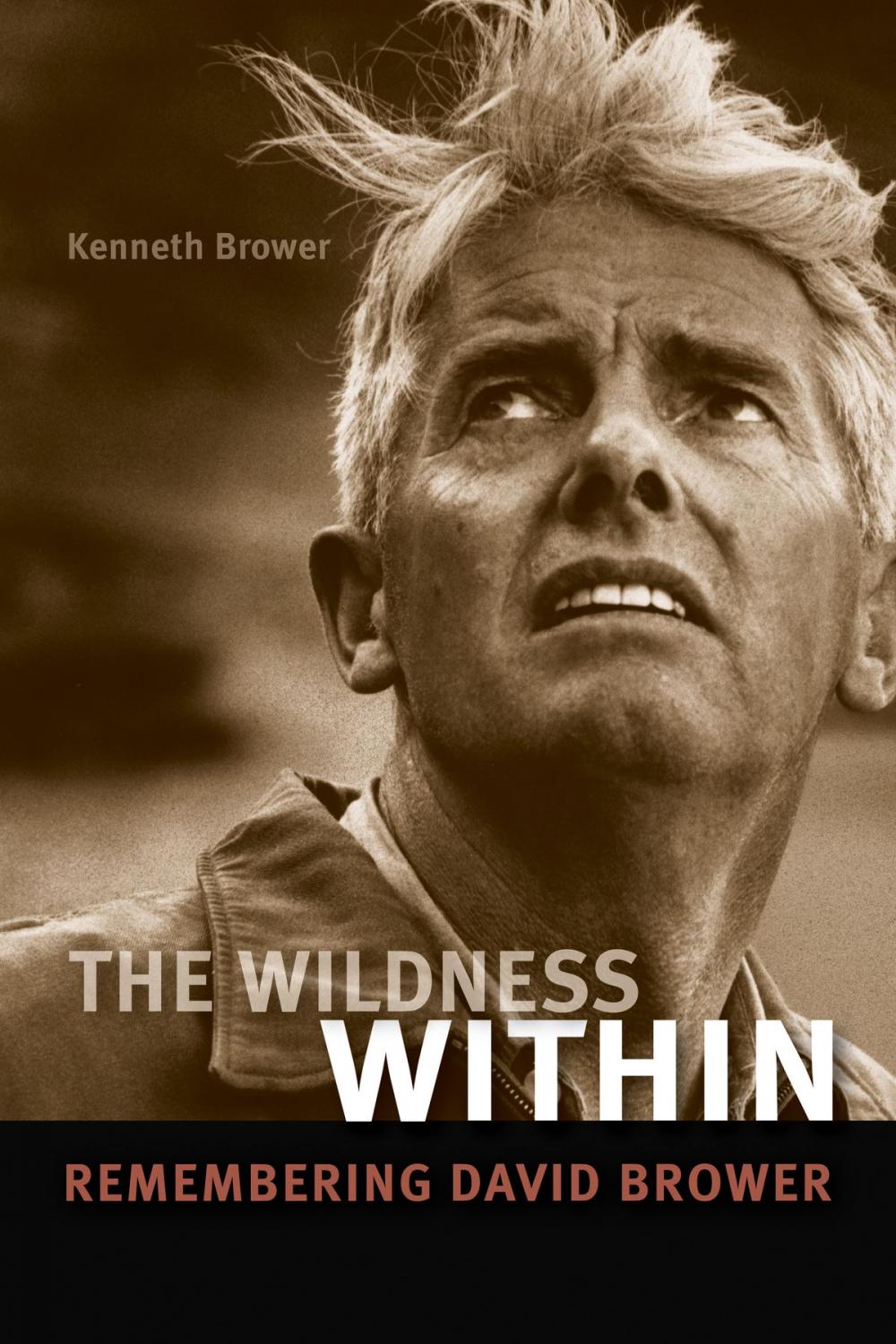 Big bigCover of The Wildness Within