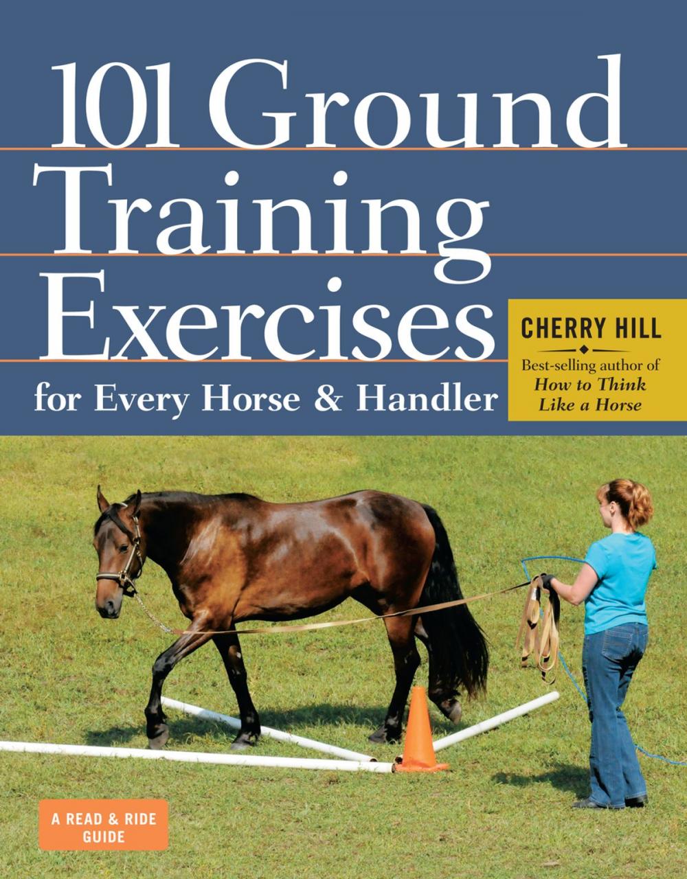 Big bigCover of 101 Ground Training Exercises for Every Horse & Handler