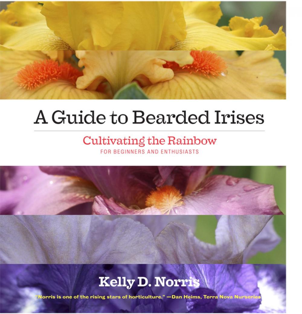 Big bigCover of A Guide to Bearded Irises
