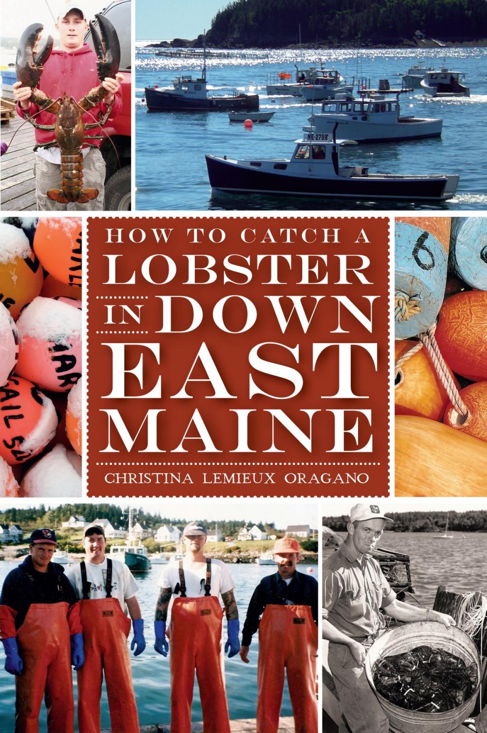 Big bigCover of How to Catch a Lobster in Down East Maine