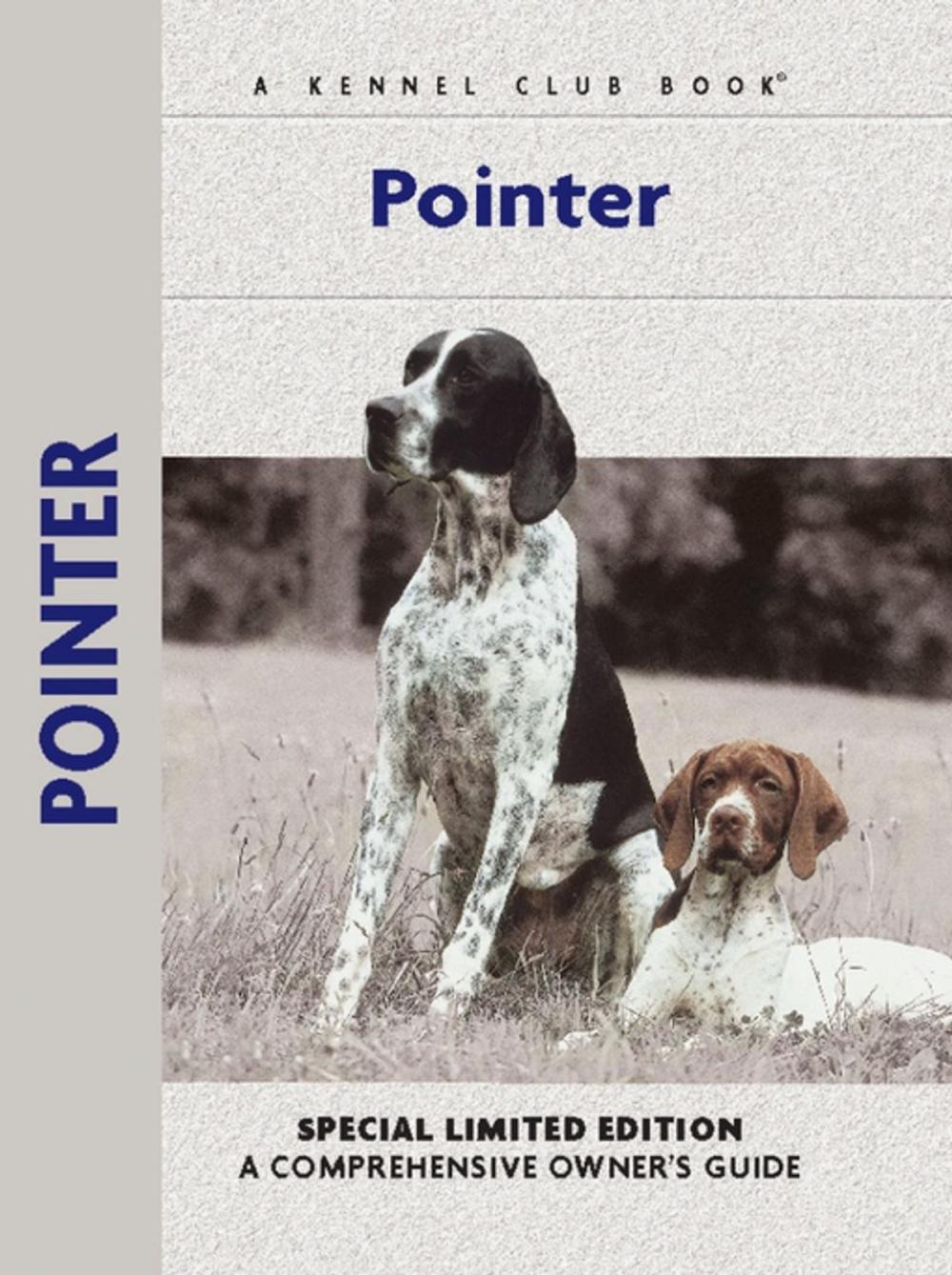 Big bigCover of Pointer