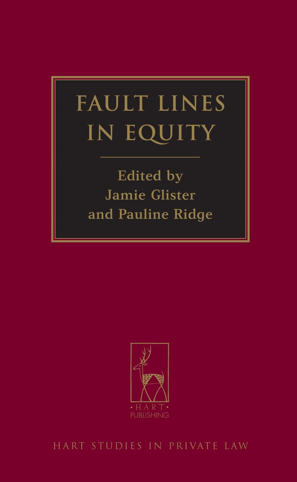 Big bigCover of Fault Lines in Equity