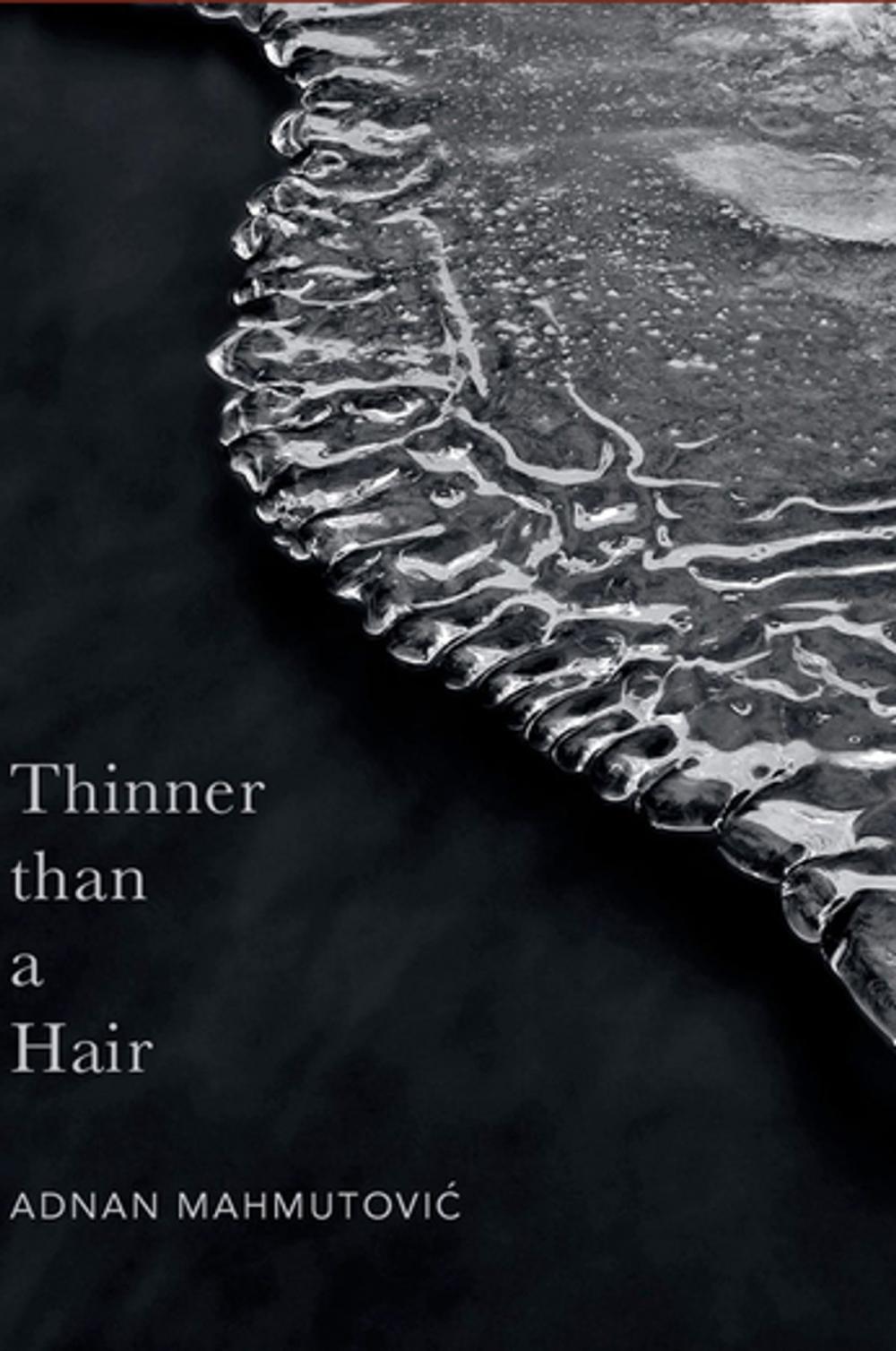 Big bigCover of Thinner than a Hair