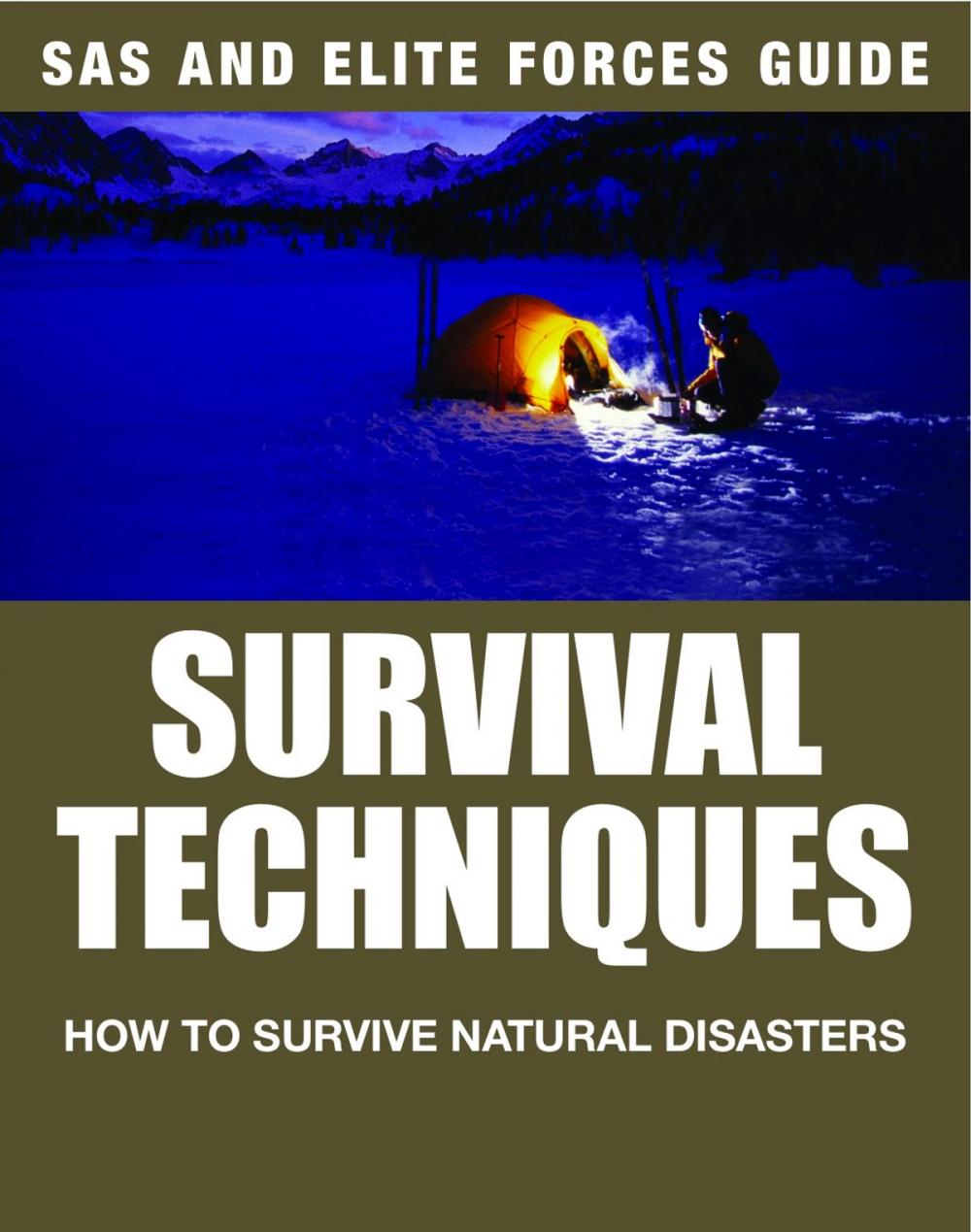 Big bigCover of SAS and Elite Forces Guide: Survival Techniques