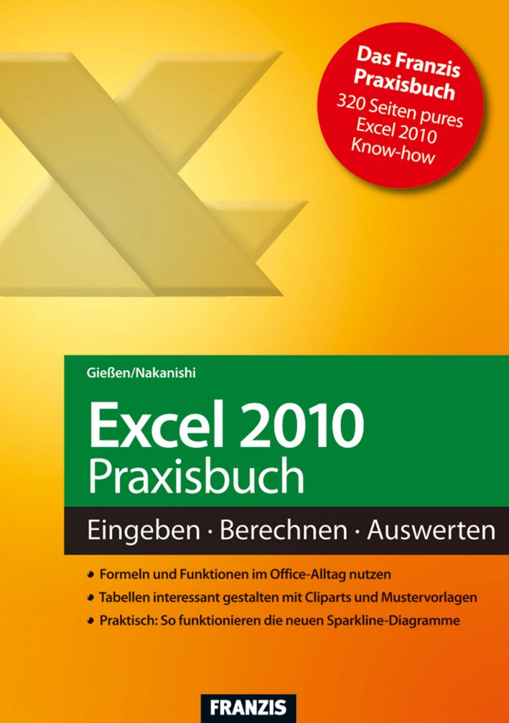 Big bigCover of Excel 2010 Praxisbuch