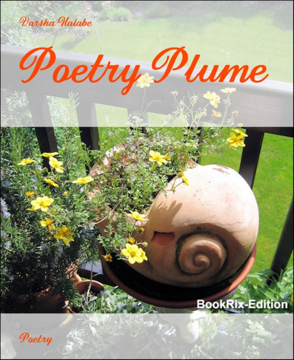 Big bigCover of Poetry Plume