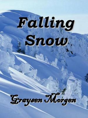 Cover of the book Falling Snow by Breanna Hughes