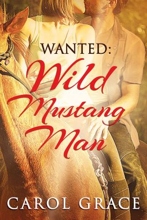 Book cover of Wanted: Wild Mustang Man