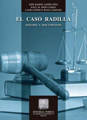 Cover of the book El caso Radilla: Estudio y documentos by Joaquín Mendoza Esquivel