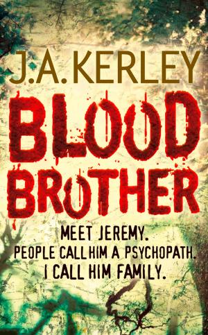 Cover of the book Blood Brother (Carson Ryder, Book 4) by Janny Wurts