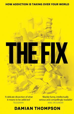 Cover of the book The Fix by Fern Britton