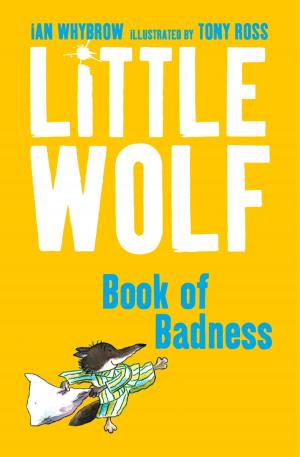 Cover of the book Little Wolf’s Book of Badness by Derek Landy