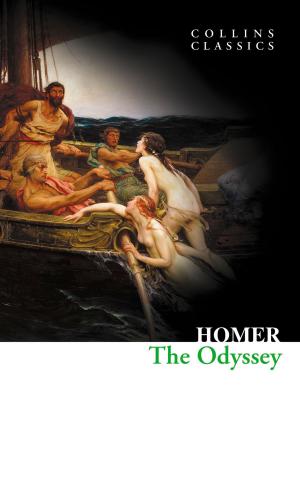 Cover of the book The Odyssey (Collins Classics) by Desmond Bagley