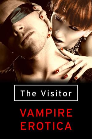 Cover of the book The Visitor: Vampire Erotica by Gina Calanni
